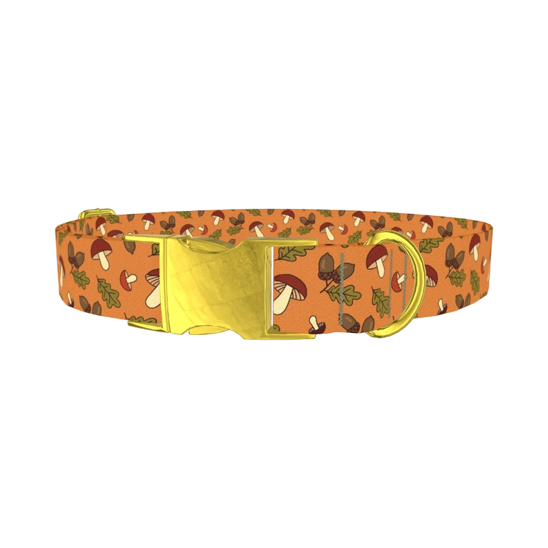 Fall Acorn Mushroom Dog Collar - metal gold