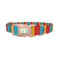Red Turquoise Stripe Dog Collar - plastic rose gold