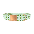 Dotted Clover Line Dog Collar - metal rose gold