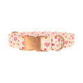 Valentine Hearts Dog Collar - metal rose gold