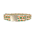 St. Patrick's Clover Stripe Dog Collar - metal silver