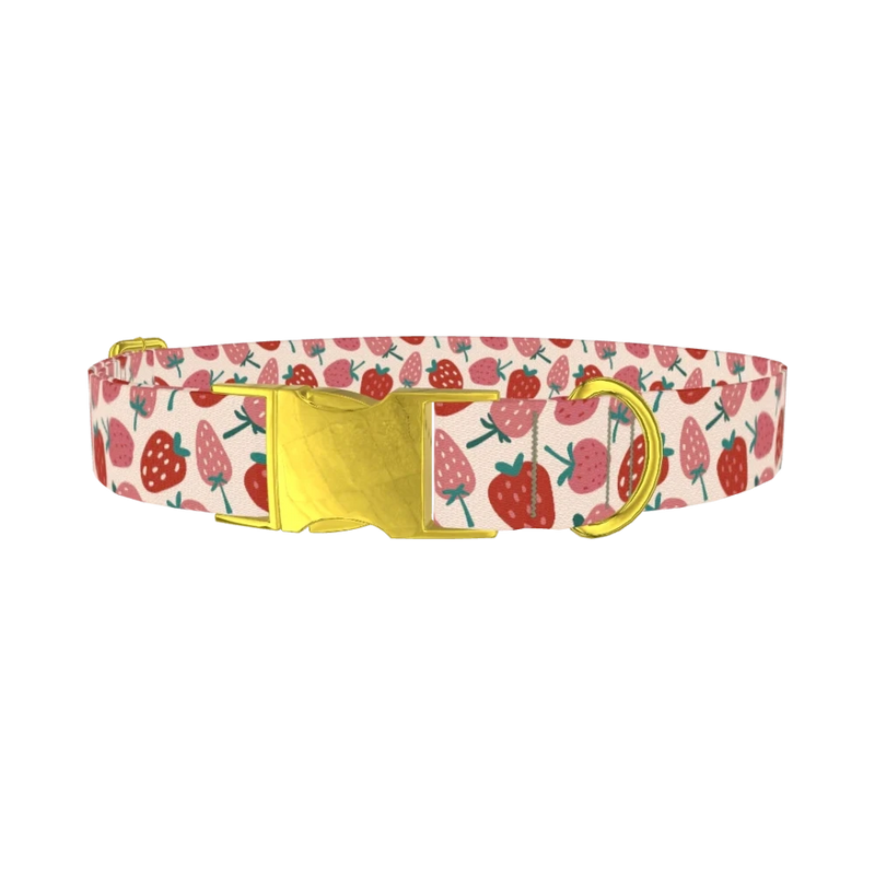Pink Strawberry Pattern Dog Collar - metal gold