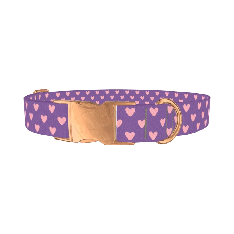 Violet Heart Dog Collar - metal rose gold