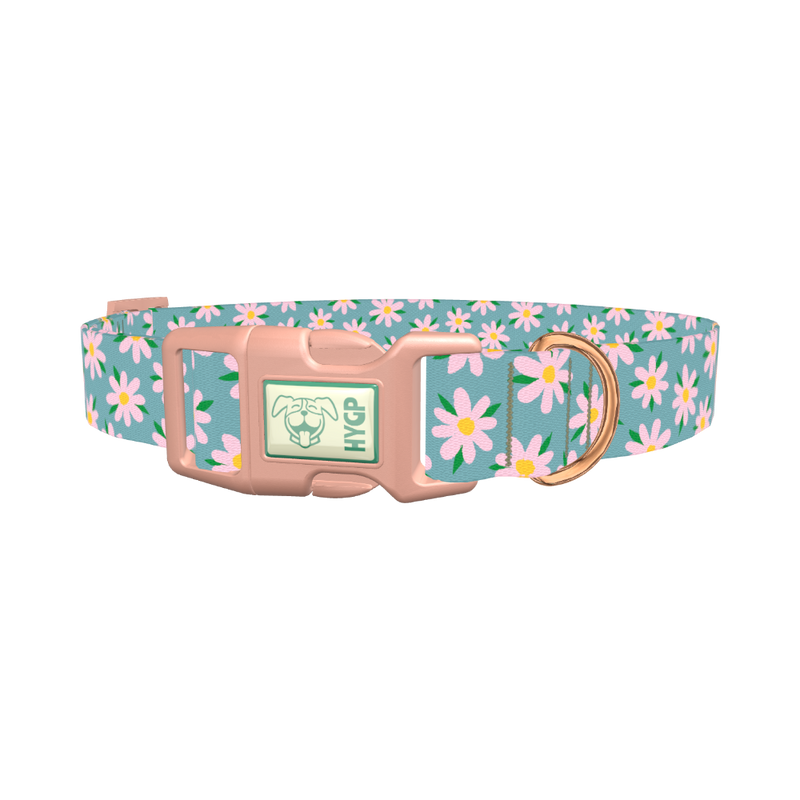 Floral Pink Camomile Dog Collar - plastic rose gold