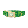 Green Skull Pattern Dog Collar - plastic gold