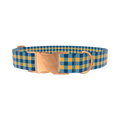 Yellow Blue Checkered Dog Collar - metal silver