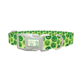 Heart Eyes Emoji Dog Collar - plastic silver