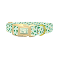 St. Patrick's Day Rainbow Dog Collar - plastic gold