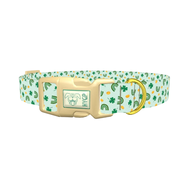 St. Patrick's Day Rainbow Dog Collar - plastic gold