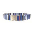 Bold Striped Dog Collar - metal silver