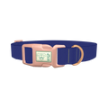 Official Violet Color Dog Collar - plastic rose gold