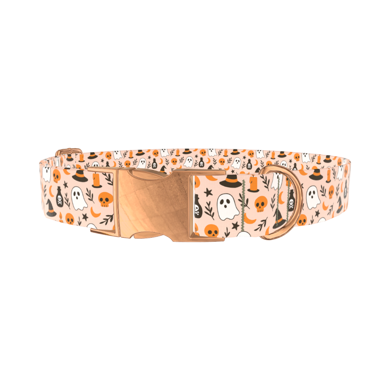 Spooky Potion Halloween Dog Collar - metal silver