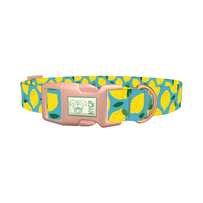 Blue Lemon Pattern Dog Collar - plastic rose gold