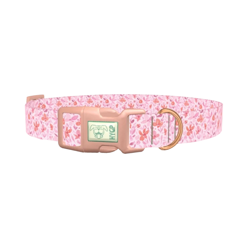 Floral Watercolor Dog Collar - plastic rose gold