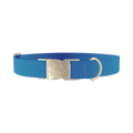 Oceanic Gradient Dog Collar - metal silver