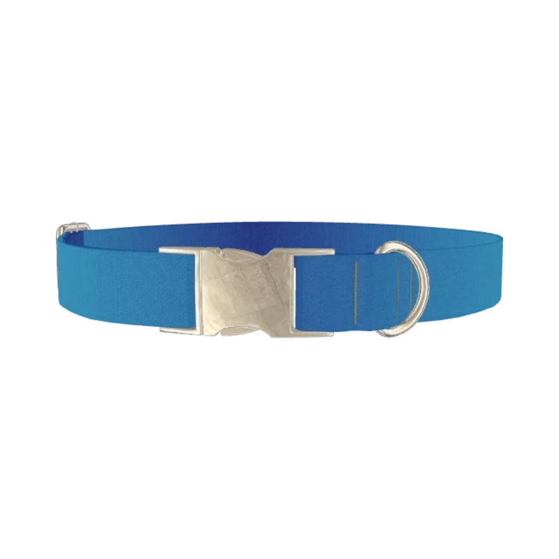 Oceanic Gradient Dog Collar - metal silver