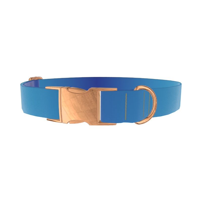 Oceanic Gradient Dog Collar - metal rose gold