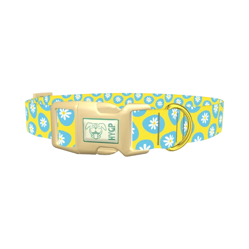 Blue Daisy Easter Egg Dog Collar - plastic gold
