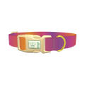 Gradient Pattern Dog Collar - plastic gold