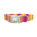 Colorful Snake Skin Dog Collar - plastic silver