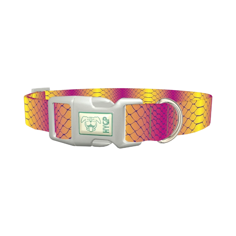 Colorful Snake Skin Dog Collar - plastic silver