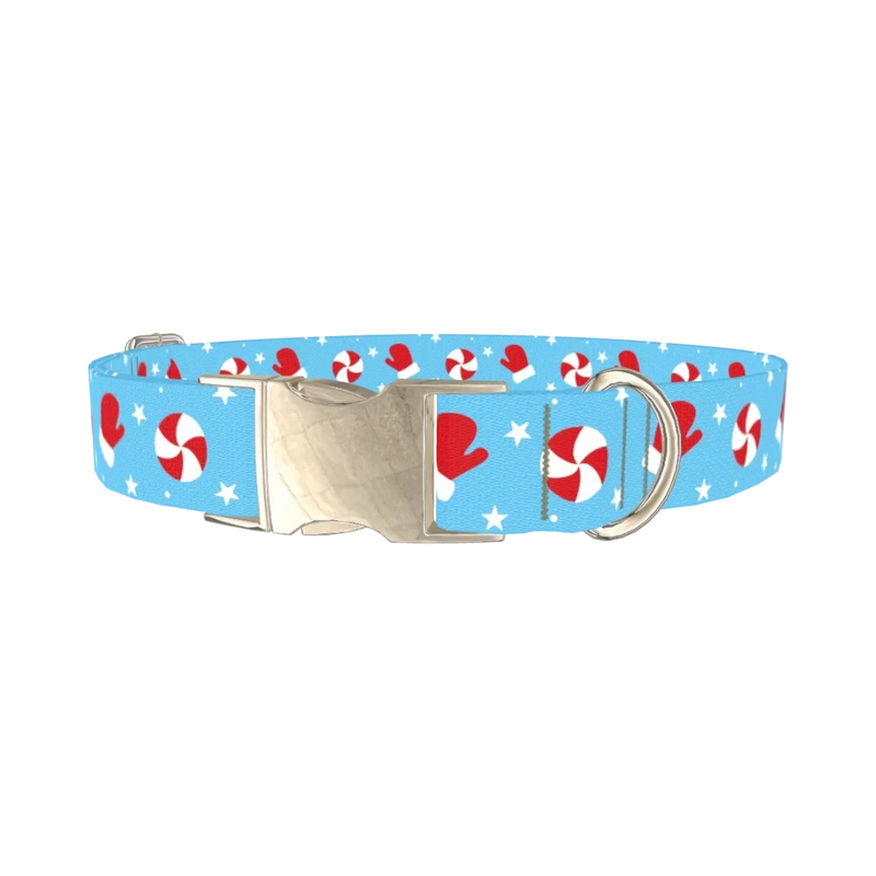 Peppermint Mitten Dog Collar - metal silver