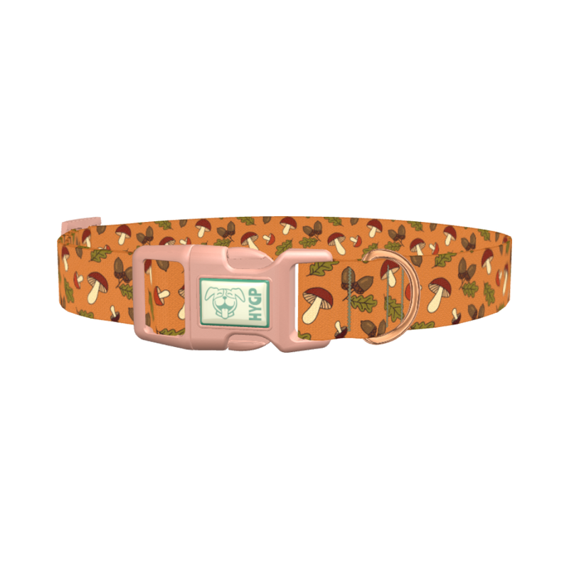 Fall Acorn Mushroom Dog Collar - plastic rose gold
