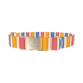 Yellow Pink Blue Striped Dog Collar - metal silver