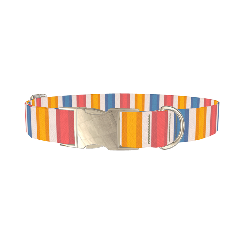 Yellow Pink Blue Striped Dog Collar - metal silver