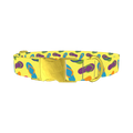 Colorful Flip Flop Dog Collar - metal gold