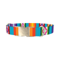 Tribal Aztec Stripe Dog Collar - metal silver