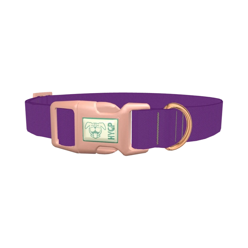 Maximum Purple Color Dog Collar - plastic rose gold