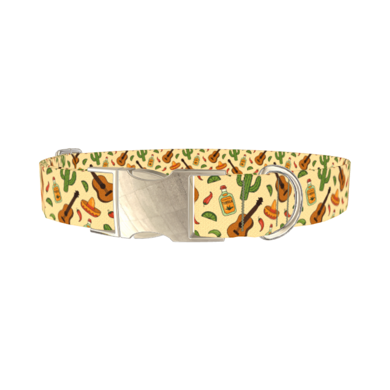 Mexican Fiesta Dog Collar - metal silver