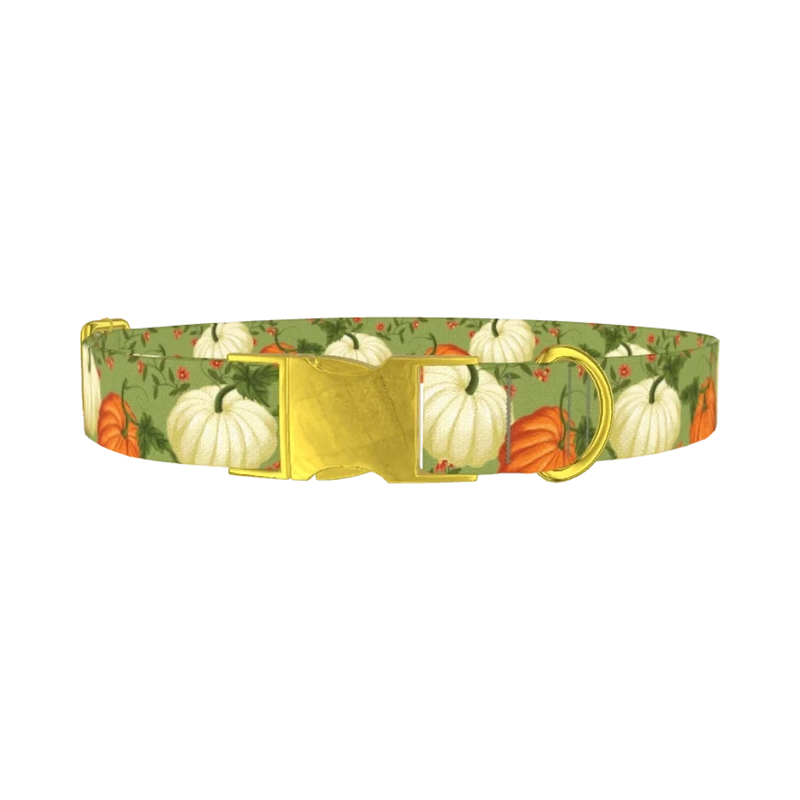 Pumpkin Floral Dog Collar - metal gold