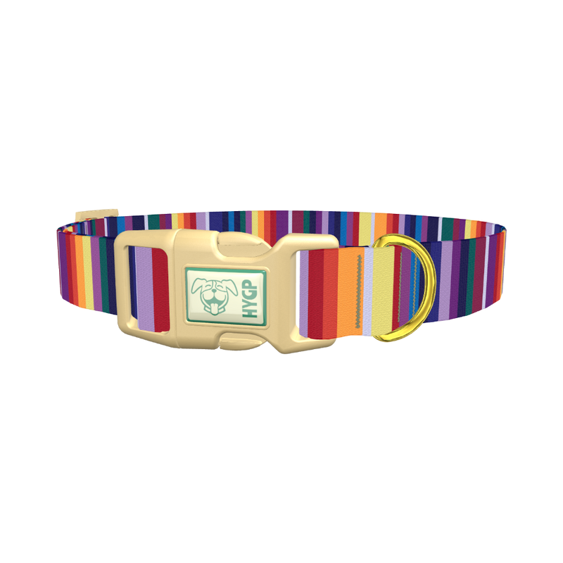 Colorful Mexican Stripe Dog Collar - plastic gold