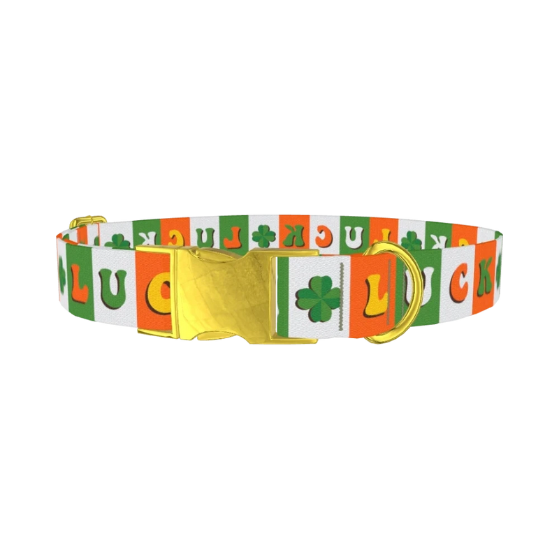 Lucky Clover Dog Collar - metal gold