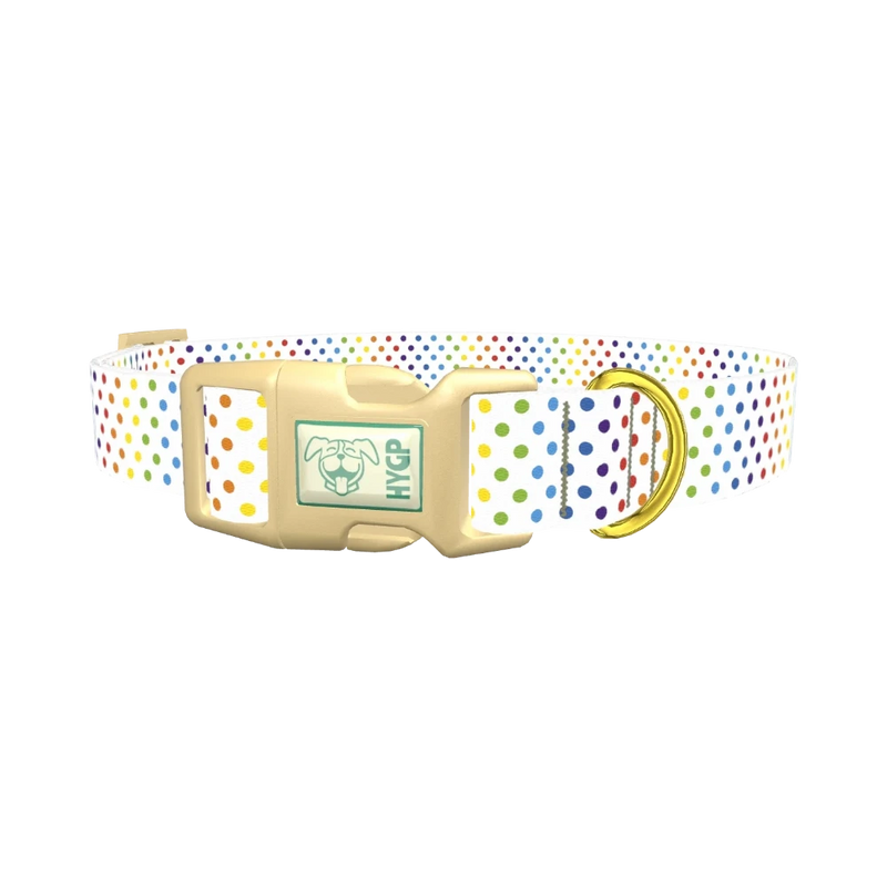 Rainbow Polka Dot Dog Collar - plastic gold