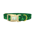 St. Patrick's Clover Dog Collar - plastic gold