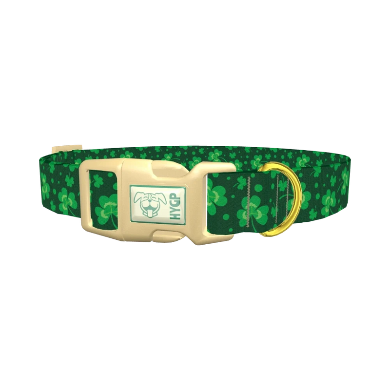St. Patrick's Clover Dog Collar - plastic gold
