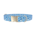 Ocean Seashell Dog Collar - metal silver