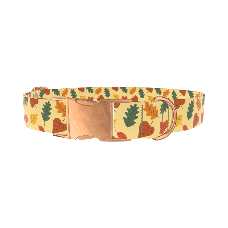 Colorful Autumn Leaf Dog Collar - metal rose gold