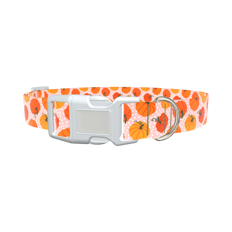 Halloween Pumpkin Dot Dog Collar - plastic gold