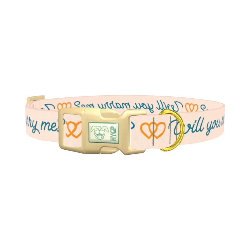 Phrase Heart Dog Collar - plastic gold