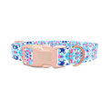 Color Splash Tie-Dye Dog Collar - plastic gold