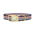 Dark Blue Rainbow Stripe Dog Collar - plastic gold