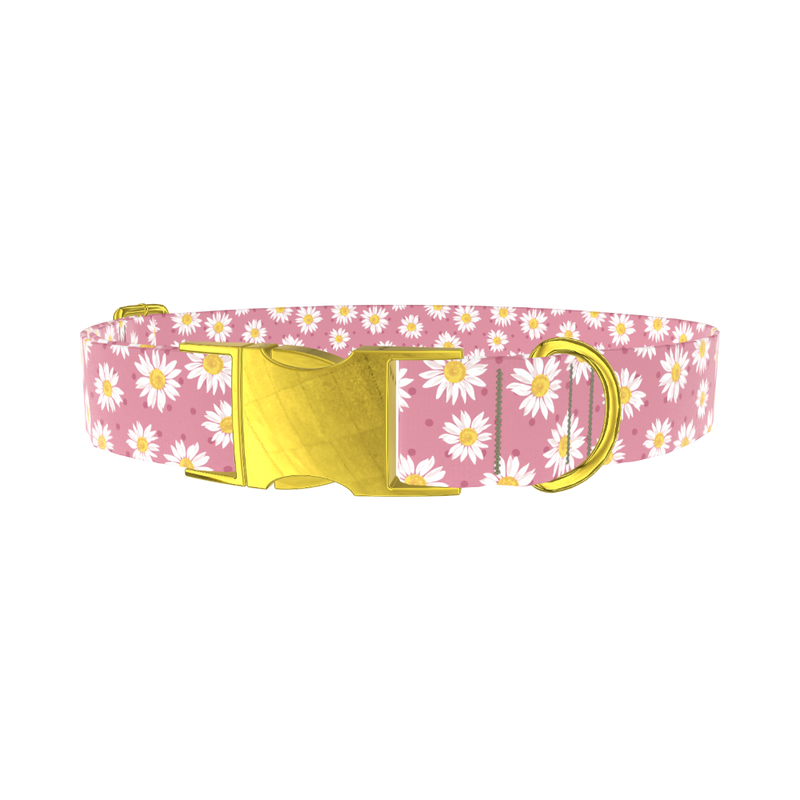 Pink Daisy Dog Collar - metal gold