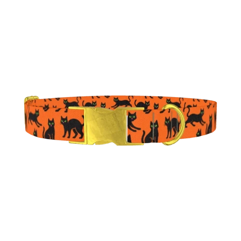 Halloween Black Cat Dog Collar - metal gold