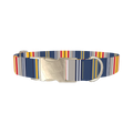 Colorful Striped Dog Collar - metal silver