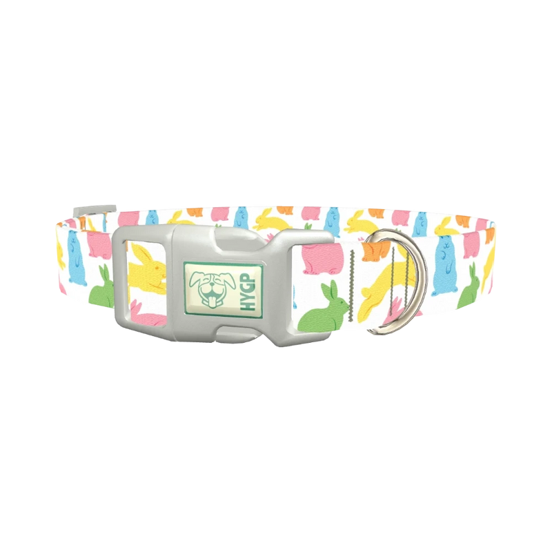 Colorful Easter Bunny Dog Collar - plastic silver