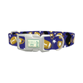 Purple Football Trophy Dog Collar - plastic silver